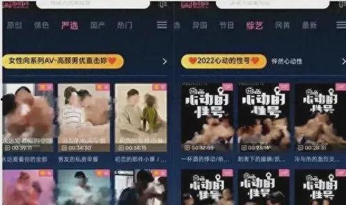 成人网在线视频免费观看,免费观看成人网在线视频的全新体验