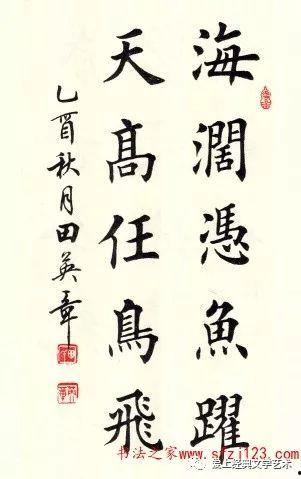 田英章讲书法视频全集,传承经典，揭秘书法技艺精髓