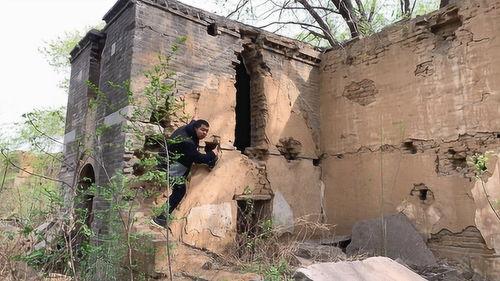 农村熊二视频,趣味横生的田园生活日常