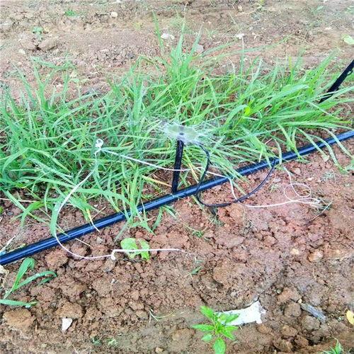 滴管安装视频,轻松掌握视频教程