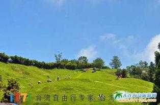 青青草原网站免费视频,免费视频盛宴，畅享欢乐时光